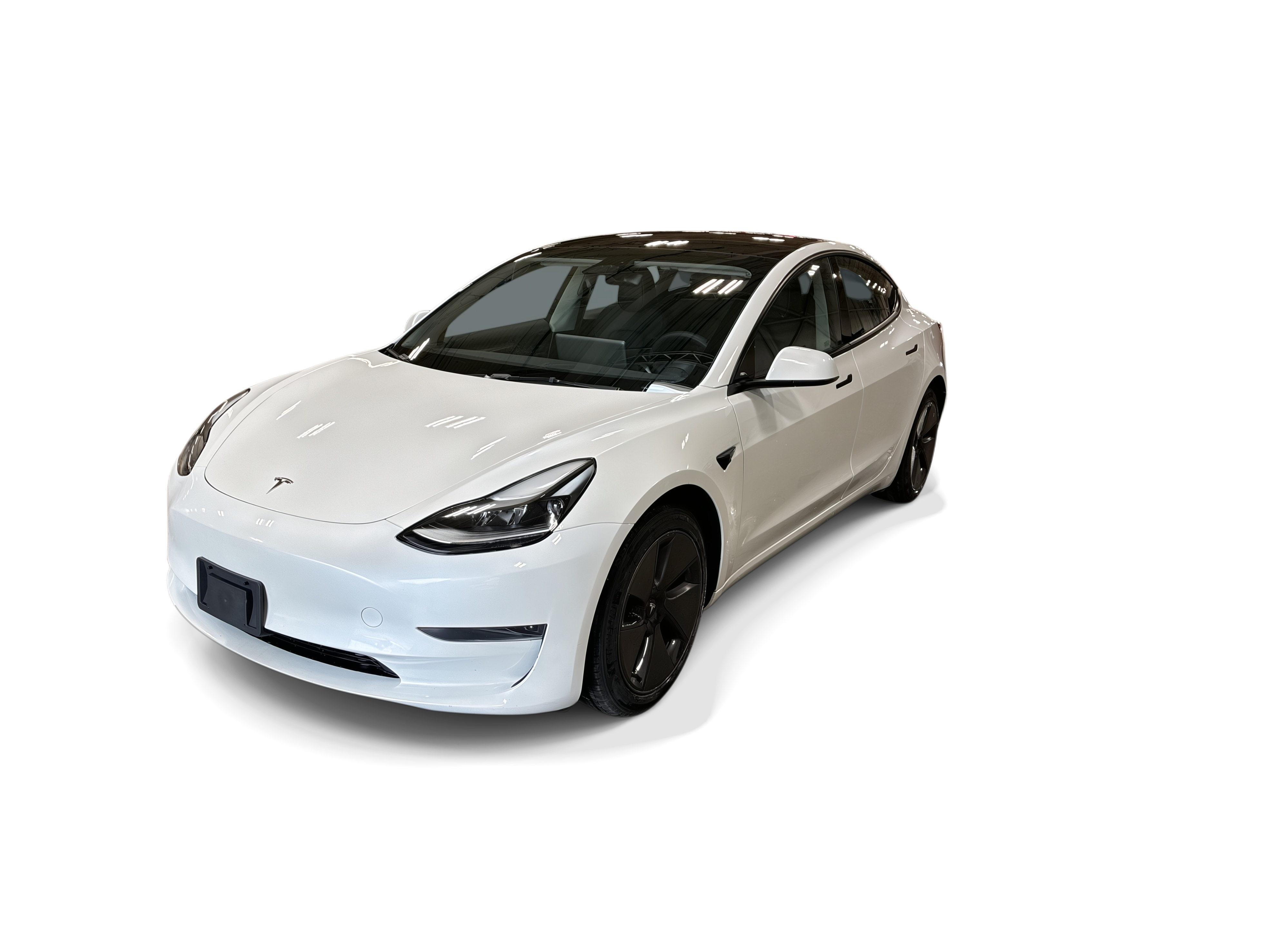 tesla model 3 2023 5YJ3E1EA1PF619093 image tesla model 3 2023 5YJ3E1EA1PF619093 image